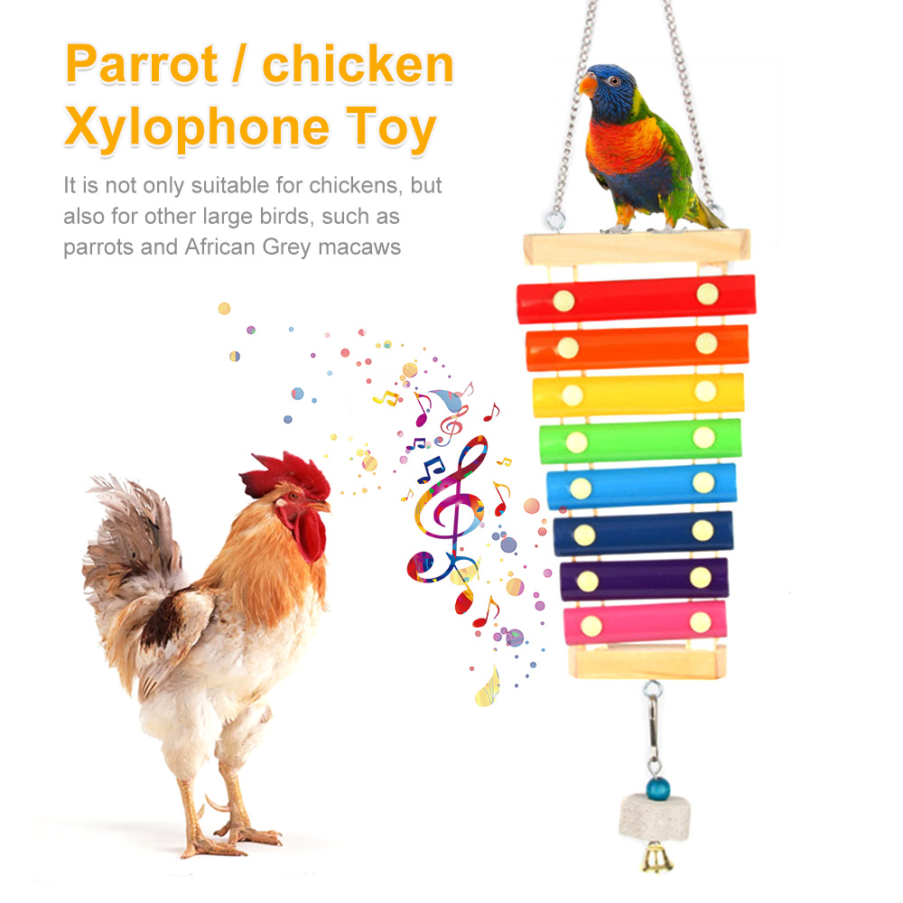 Musical Instrument Harmonium - Jouet Xylophone pour oiseaux, poulet, Cage